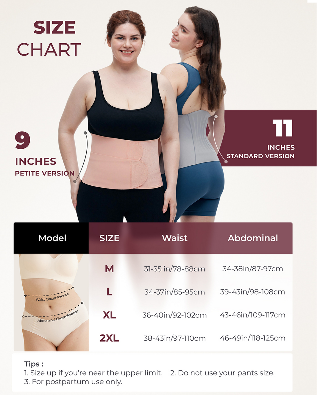 Momcozy Ergowrap Postpartum Belly Band size chart: Petite & Standard, waist, abdominal measurements, postpartum support.